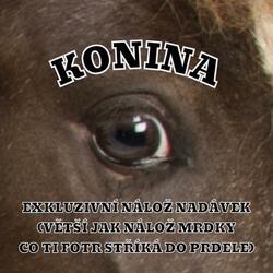 KONINA (beat by Szainty)