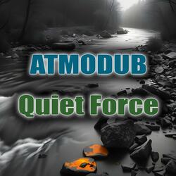 Quiet Force