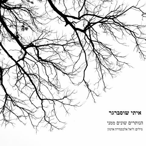 הנותרים שונים ממני