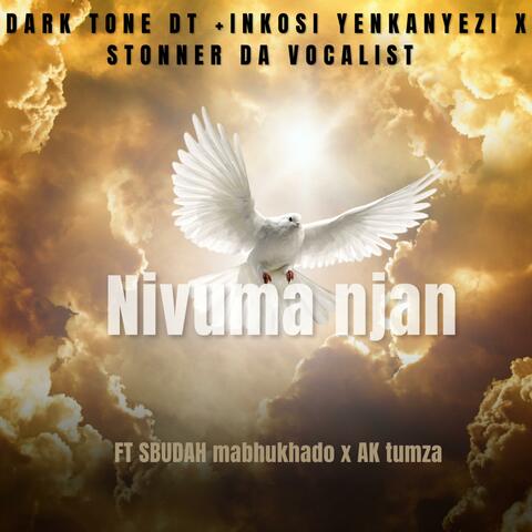 Nivuma njan (feat. Dark tone DT, Inkosi yenkanyezi, SBUDAH mabhukhado & AK tumza)