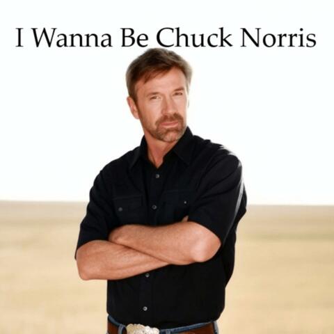 I Wanna Be Chuck Norris