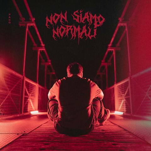 NON SIAMO NORMALI
