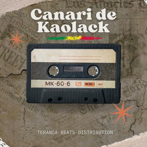 CANARI DE KAOLACK