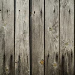 Just Friends Havin Fun