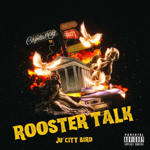Rooster Talk