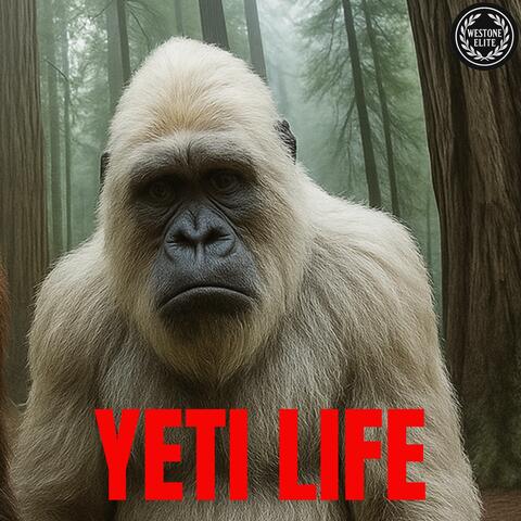 Yeti Life