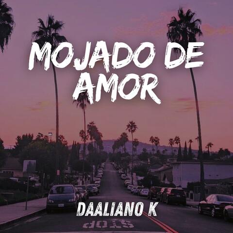 Mojado De Amor