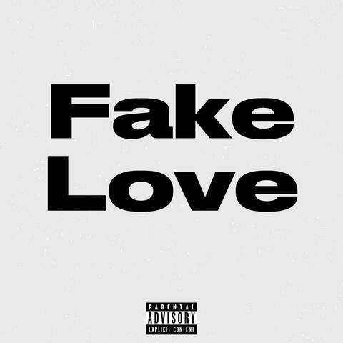 Fake Love (feat. Luh2fye)