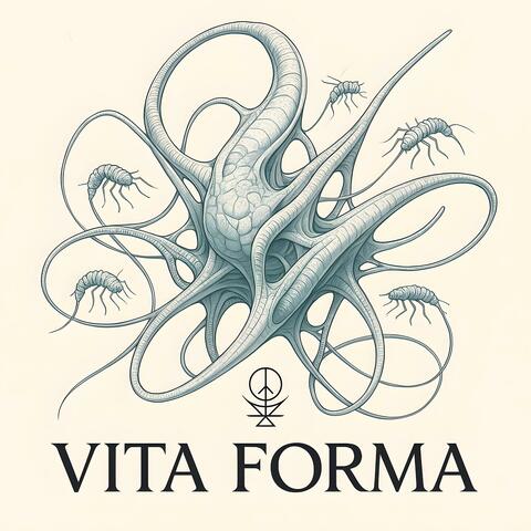 Vita Forma
