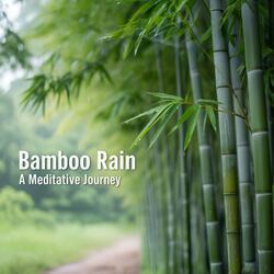 Bamboo Rain: A Meditative Journey