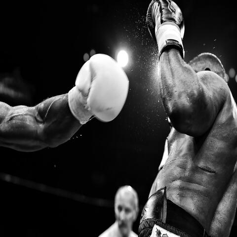 Heavy Hitters (feat. Papoose)