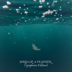 BIRDS OF A FEATHER (Symphonic Edition)