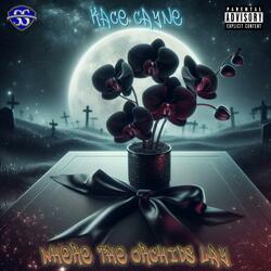 Where The Orchids Lay