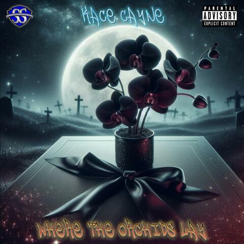 Where The Orchids Lay