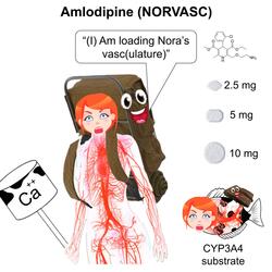 Amlodipine (Disco Version)