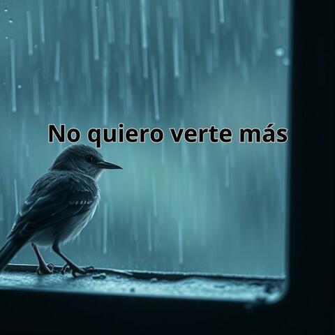 No quiero verte más