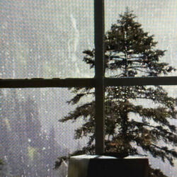 Sittin In My Room Watchin Rain