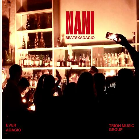 NANI (feat. Ever)