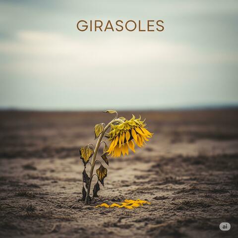 Girasoles