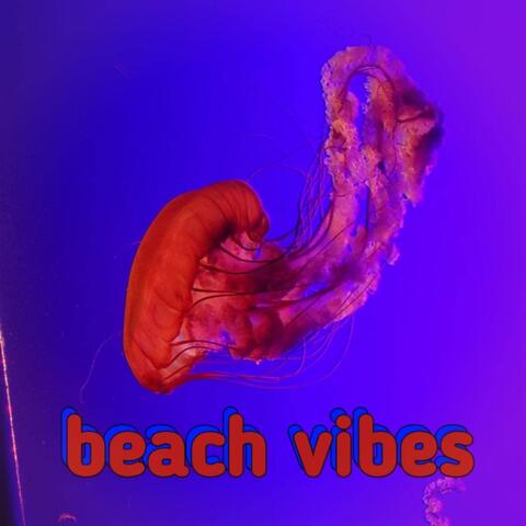 Beach Vibes