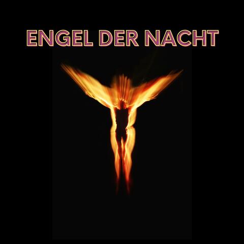 Engel der Nacht