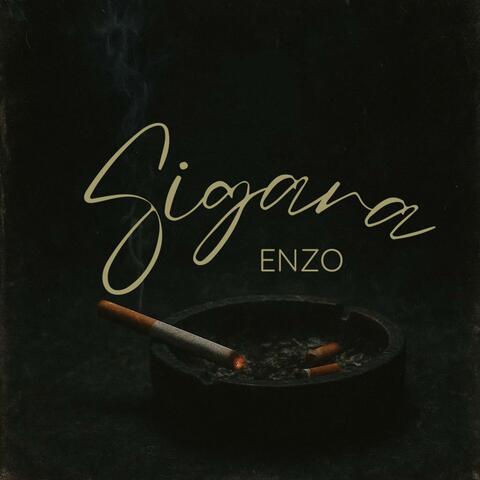 sigara-tozlu toka