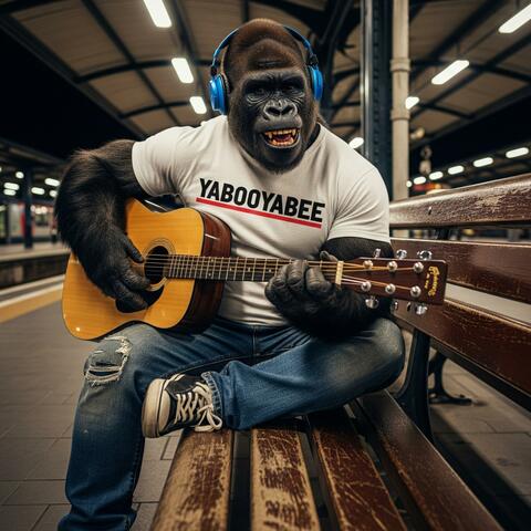 Just a Glance Acoustic Guitar