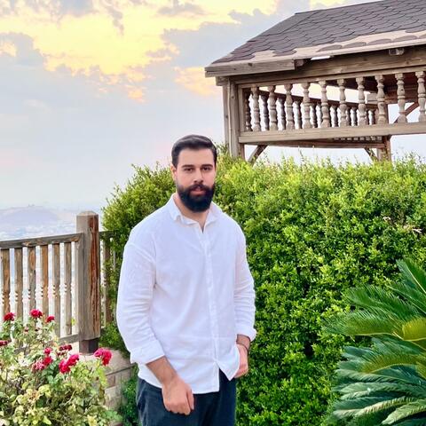 Zordar Bamerni (Org)