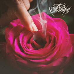 หอมจริงหรือ