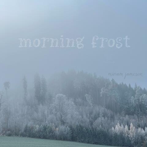 morning frost