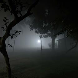 nuisance! (p. yuney lae)