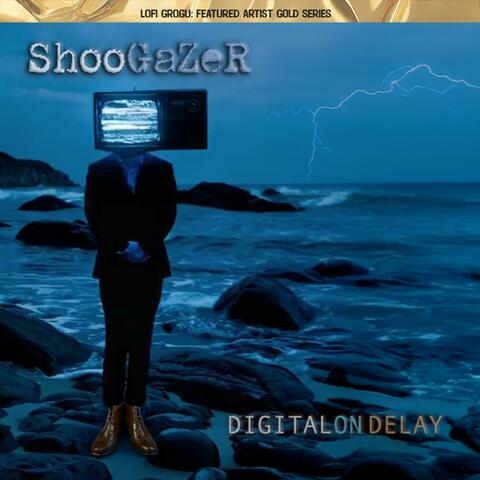 Digital On Delay