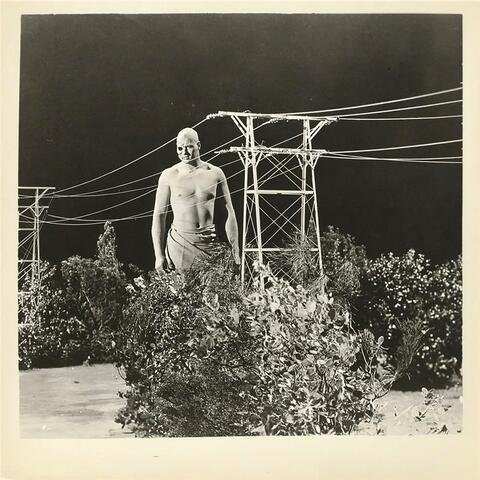 Tallest Man On Earth