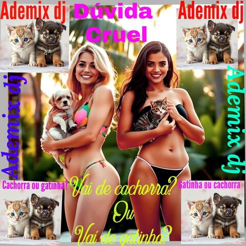 Vai de cachorra? Ou vai de gatinha?