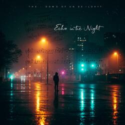 Echo in the Night1