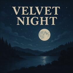 Velvet Night