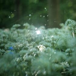 Sound Journal I