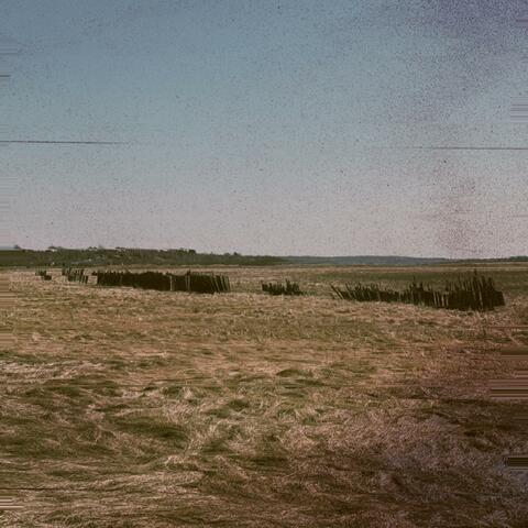 Tremors