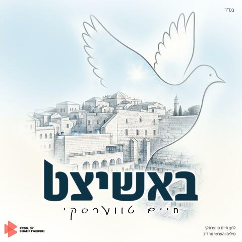 Bashitzed - באשיצט