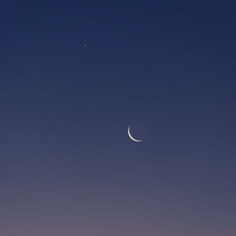 Two cups left in the month