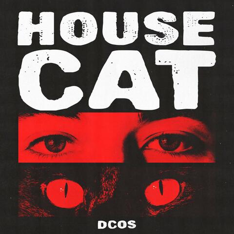 House Cat