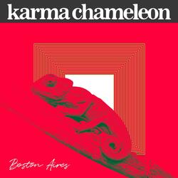 Karma Chameleon