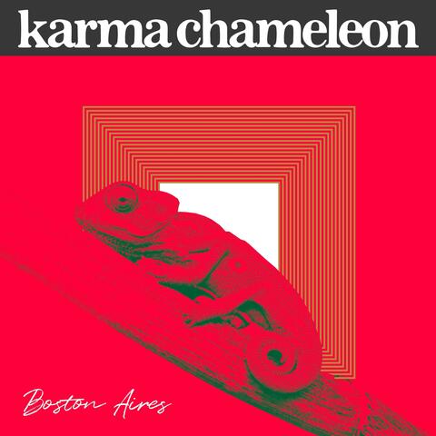 Karma Chameleon