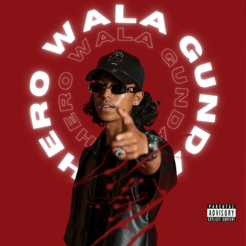 Hero Wala Gunda (feat. VibyN)