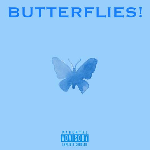 BUTTERFLIES!