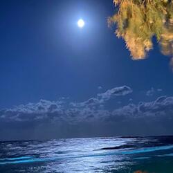 WISH I DIDN'T MISS YOU