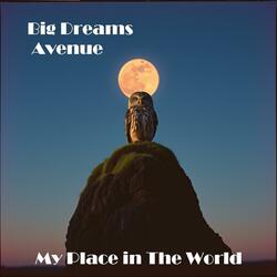 My Place in The World