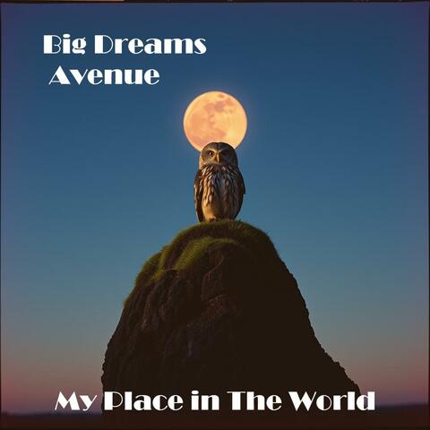 My Place in The World