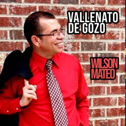 Vallenato de gozo