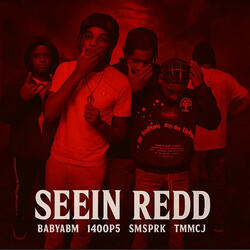 Seein Red (feat. BABYABM, 1400P5 & K4MSPRK)